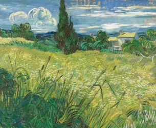 Grünes Feld